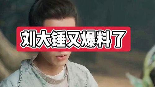 刘大锤最新爆料盘点,盘点娱乐圈最新热点事件  第3张